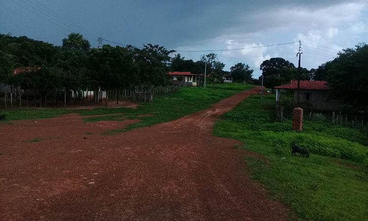 Antônia Flor, a luta da Mulher piauiense que morreu defendendo a reforma agrária no Estado