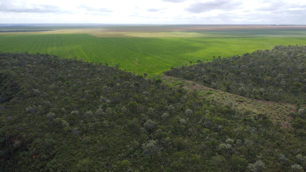 Nova ameaça de morte no cerrado piauiense: Coletivo de povos, comunidades tradicionais e organizações sociais denunciam violações de direitos